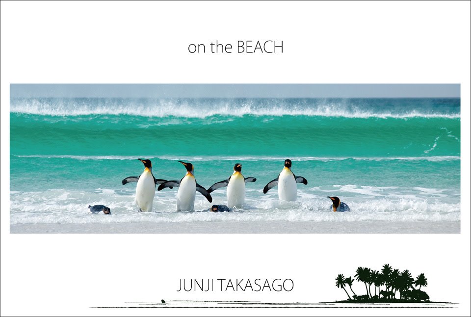 🌳 다카사고 해변공원(타카사고 카이힌 코엔)